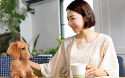 5 trends driving pet food growth in Asia and beyond