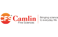 Camlin logo